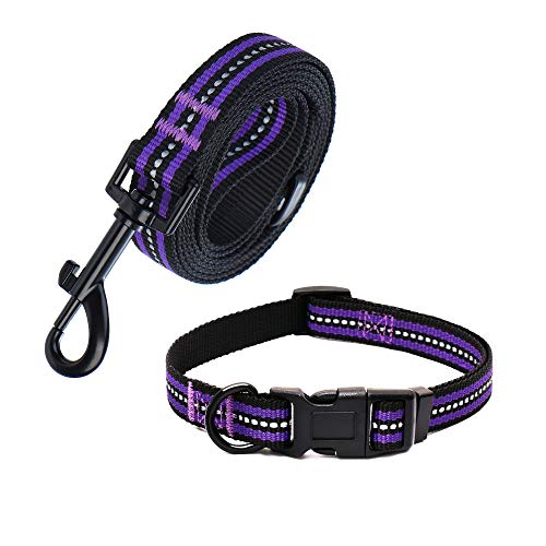 Mile High Life Combo Pack de Collar de Correa para Perro Raya Reflectante 3M (L, Morado 4)