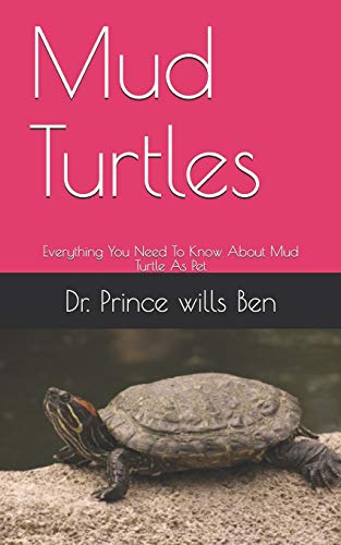 Mud Turtles: Everything You Need To Know About Mud Turtle As Pet