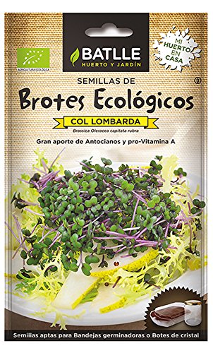 Semillas Ecológicas Brotes - Brotes ecológicos de Col lombarda - Batlle