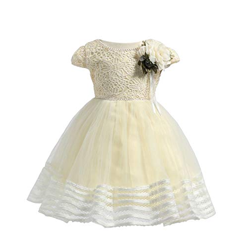 XFentech Vestido de Princesa - Vestido de Fiesta Bautizo Floral Lindo de la Fotografía para Niñas del Niño,Amarillo,20M(10-18 Meses)