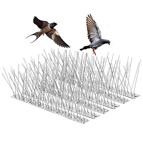 9.9 Metro Pinchos Antipalomas, OneSight Anti Pájaros Jardin Repelente Pájaros Control de Aves Protección, Cubre Picos Puntas Antipájaros en Acero Inoxidable para Disuasión de Aves,Gaviotas, Gato,30PCS