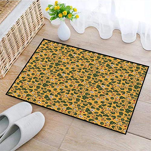 Alfombrilla de Baño Antideslizantes, Floral, floreciente de la naturaleza, campo de margaritas, botánica, c,Tapete para el Piso Lavable a Máquina con Microfibras Suaves Absorbentes de Agua para Bañera