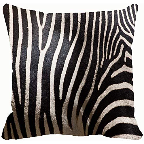 Closeup rayas en piel de cebra Animales Vida salvaje Naturaleza Fundas de almohada Fundas de cojín Fundas de almohada Sofás Decoración para el hogar 45X45Cm