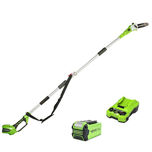 Greenworks Tools Battery Tall Probe G40PS20K2 (Li-Ion 40V 20cm longitud de sable 8 m/s velocidad de la cadena polo auxiliar telescópico de 3 piezas incluyendo la batería de 2 Ah y el cargador), Verde