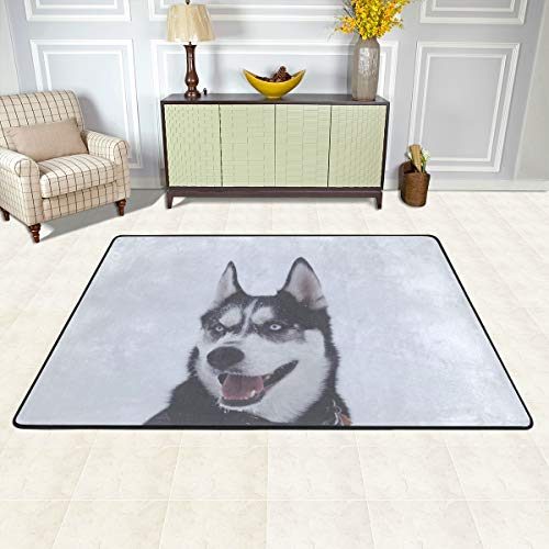 MALPLENA Estúpido Husky Perro alfombras para Sala de Estar Puerta Alfombra Piso Zapatos rasqueta para salón/Comedor/Dormitorio/Cocina Antideslizante, poliéster, 1, 72 x 48 Inch