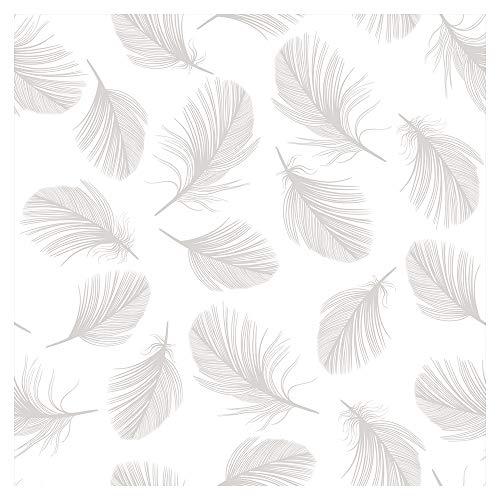 murando Papel Pintado 10 m Fotomurales tejido no tejido rollo Decoración de Pared decorativos Murales XXL moderna de Diseno Fotográfico - Gris Blanco Plumas b-B-0289-j-a