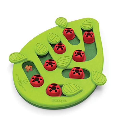 Nina Ottosson de Petstages Buggin out Puzzle & Play - Rompecabezas para Gatos - Juguete Interactivo con dispensador de premios