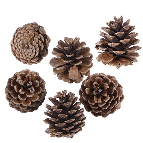 OULII 6pcs 5cm Piñas Naturales Conos de pino de Navidad con cadena para bricolaje arte decoración del árbol de navidad