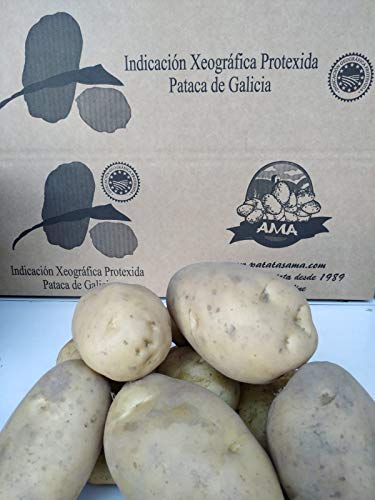 Patata Gallega Consumo variedad Agria caja 20kg.