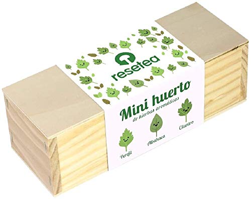 Resetea Minihuerto de hierbas aromáticas