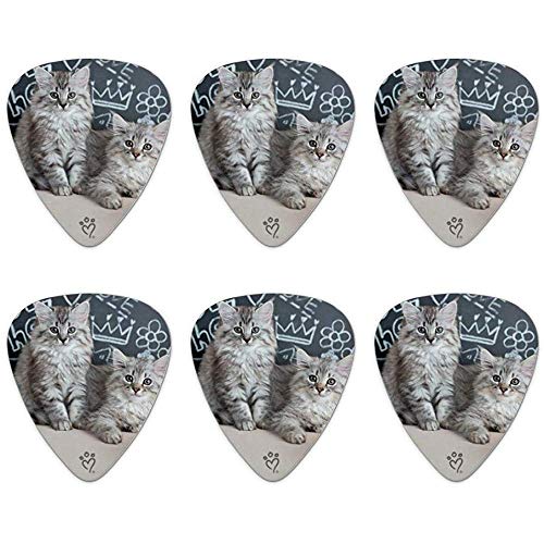 Siberian Tabby Kittens Gatos Escuela Pizarra Aprendizaje Novedad Guitar Picks Medium Gauge - Set de 6