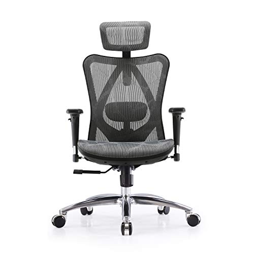 SIHOO Silla de Oficina Ergonómica, Silla de Escritorio, Respaldo Alto, Transpirable, Silla de Malla, con Reposabrazos 3D y Soporte Lumbar Ajustables(Gris)