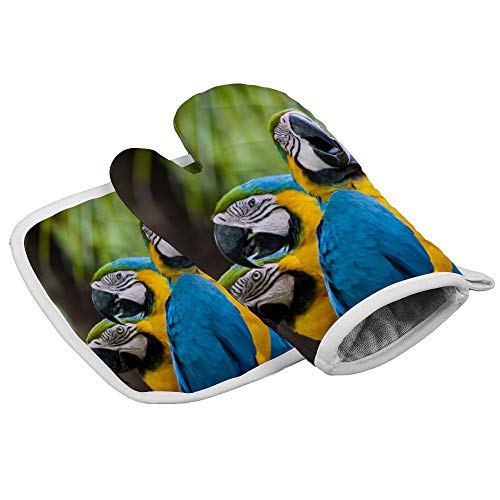 Tiukiu Oven Mitts and Potholder Kitchen Set, Heat Resistant and Non-Slip Surface Cooking Gloves For Cooking Baking Grilling, Macaw Parrot Bird