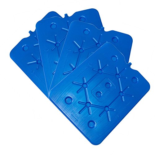 ToCi – Juego de 4 por 800 g plano nevera Acumuladores Ice Pack Hielo isotasche