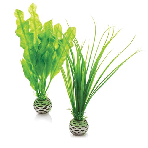 biOrb 46055 Set de 2 Plantas Verdes, Un tamaño