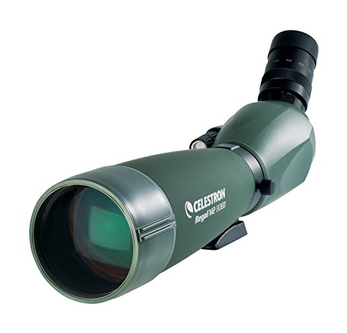 Celestron Regal M2 20-60 x 80 Spektiv (45 Grad)