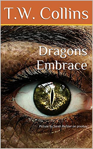 Dragons Embrace (Radial Gamut Book 1) (English Edition)