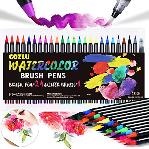 Gozlu Rotuladores Acuarelables, 24 Rotuladores Lettering con Flexibles Nylon Punta, 1 Pincel de Agua y 8 Bloc Dibujo, Rotuladores Punta Pincel para Manga, Bullet Journal, Caligrafía y Dibujos