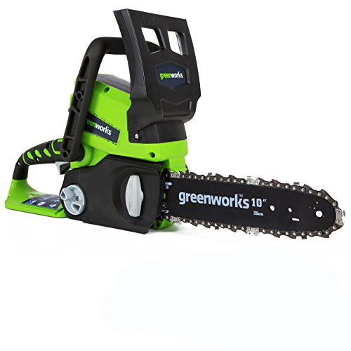 Greenworks Tools - Sierra eléctrica a batería (sable de 25 cm, batería de ión litio de 24 V)