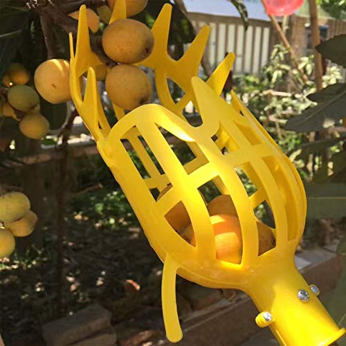 Jardinería Herramientas de frutas Picking Recolector de frutas de jardín pequeño de plástico, Colector de fruta, cabeza sin poste, práctico para herramienta de recolección de jardinería en huerta de c