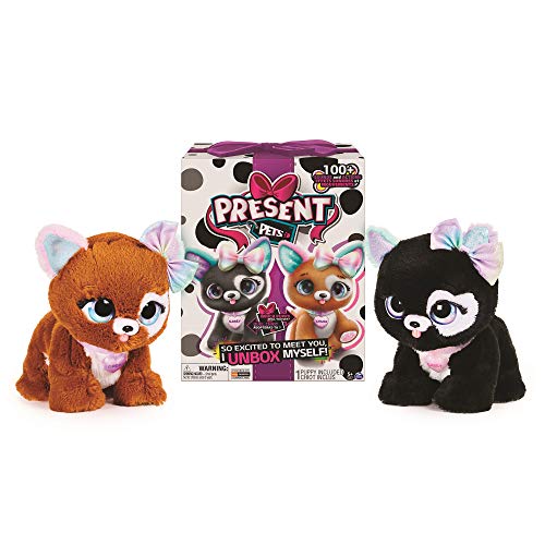 Mi Mascota Regalo Glitter (Bizak 61926531)