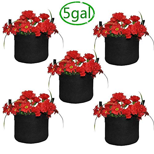 Paquete de 5 Bolsas de Crecimiento no Tejidos Transpirables Tela Ollas Patata Tomate Vegetales de Frutas de Fresa jardín de la Planta plantador Bolsas w/Palancas (Color : 5 Gallon-5PCS)