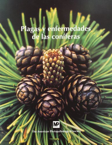 Plagas y enfermedades de las coníferas (Patología Vegetal)