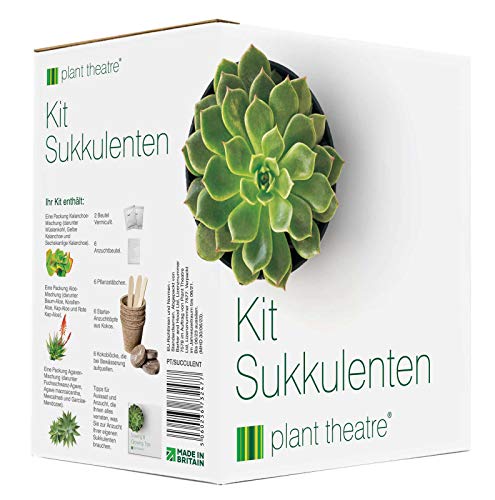 Plant Theatre Kit de semillas de regalo con variedades de plantas suculentas, para cultivo y cuidado fácil.