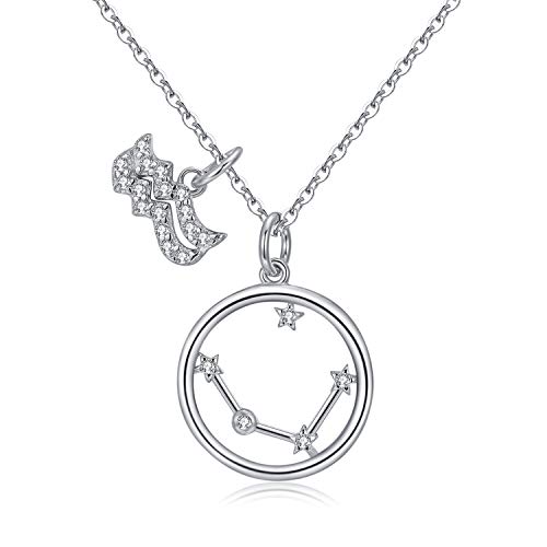 Qings Collar Plata Mujer Zodíaco Acuario BFF Amigas Amistad Collares Símbolos del Astrología Colgante Horóscopo Día de la Madre Regalo para Mujer Niña Fiesta