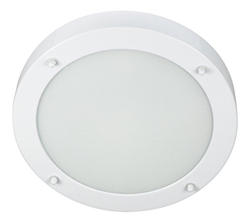 RANEX Luz para El Techo Del Cuarto de Baño G9, 30 W, Blanco, 5x28x28 cm