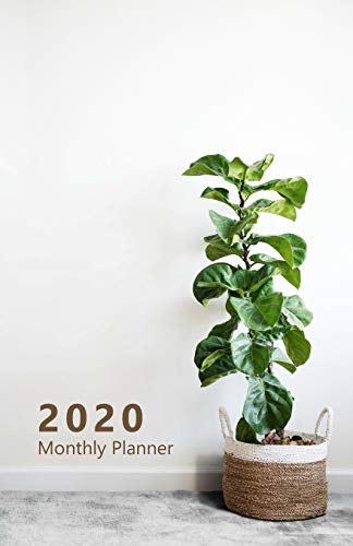 2020 Monthly Planner: Portable. Month on 2 pages followed by six Notes pages. Monthly layout Includes To-do section. 8.5"x 5.5". Fits in purse. (Half ... room decoration, plant. Soft matte cover).