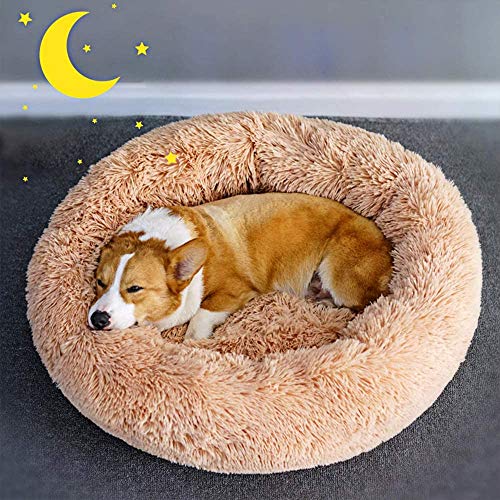 Cama Perro Gato Grande Pequeño Cama Redonda Cojín Gatos Sofá Cama Mascota Redonda Suave Cachorro Domésticos Invierno, Cómoda y Lavable Aleatorio (70CM-Azar)