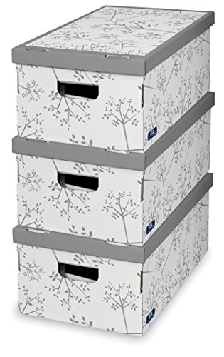 Domopak Living 914575, Set de 3 Cajas de Autoensamblaje Bon Ton, Colores Surtidos