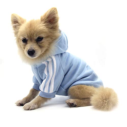QiCheng&LYS Dog Hoodie Ropa, Mascota Cachorro Gato algodón Lindo cálido Sudadera con Capucha suéter (M, Azul)