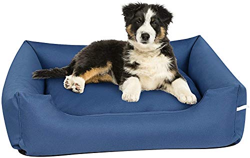 Sofá cama pequeño para perros, funda extraíble y lavable, colchón mullido con relleno de algodón y alfombrilla antideslizante, cama relajante para mascotas resistente a los mordiscos, azul