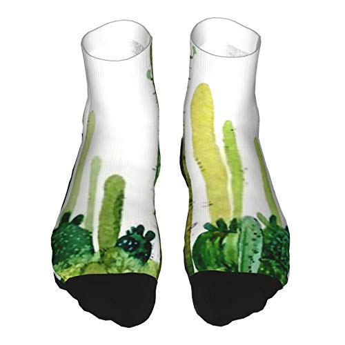 Spiky Cactus Isolated On White Crew Socks for Men - Men's Sport Socks - Athletic Socks