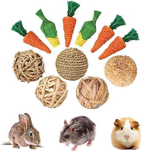 YANGWX - Juego de 11 piezas de guinea Pig Toys, hámster Rabbit Chew Toys, Rabbit Accessory Teeth Care Toy Set Natural Grass Rattan Sisal Carrot Corn Throw Bite Fun Balls Set Toy