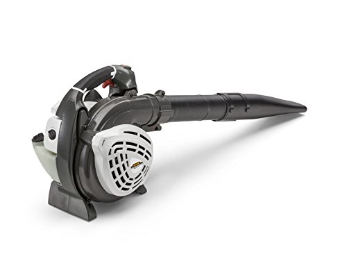 Alpina ABL 27 V aspiradora de hojas Negro, Blanco - Soplador de hojas (Cordless handheld blower, 800 W, Negro, Blanco, 8300 RPM, 109 dB, 55 L)