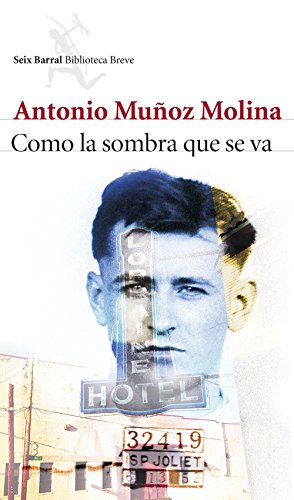 Como la sombra que se va (Biblioteca Breve)