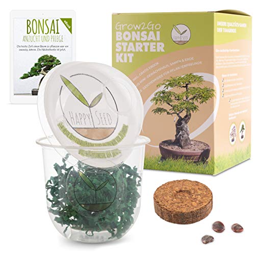 GROW2GO Bonsai Kit incl. eBook GRATUITO - Set con mini invernadero, semillas y tierra - idea de regalo sostenible para los amantes de las plantas (Tamarindo)