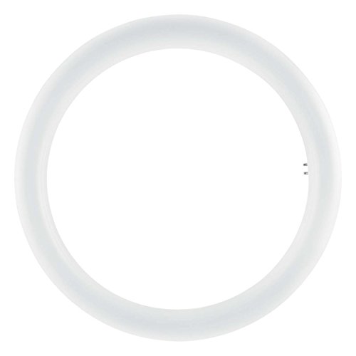 Osram - Lámpara led de repuesto, Base: G10q, 4000 K, 20 W, Repuesto para 32 W, Blanco frío