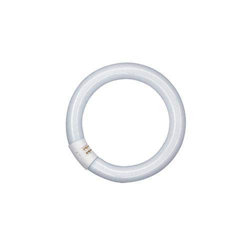 Osram Lumilux T9 Tubo Fluorescente GR10q, 22 W, Blanco (Cool White), 21.6 cm