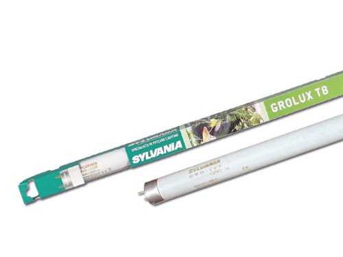 Sylvania gro-lux - Lámpara fluorescente gro-lux fho54w/gro