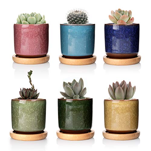 T4U 6.3cm Cerámico Grieta de Hielo Zisha Elevado Serie Suculento Maceta de Cactus Flor Macetas Envase Plantas Azul Claro con Bandejas de Bambú Todo Color Conjunto de 6