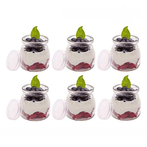 Agreenway Botes para Yogurtera Vasos de Repuesto con Tapa para Yogurtera para Hacer Yogures o Postres Melmeladas, Salsas de Tomate (6pc)