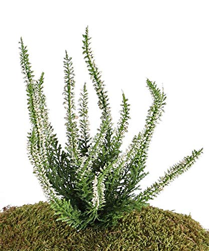 artplants.de Érica sintética IMKE con Vara de fijación, Crema, 25cm, Ø1cm - Brezo Artificial - Planta Falsa Erica