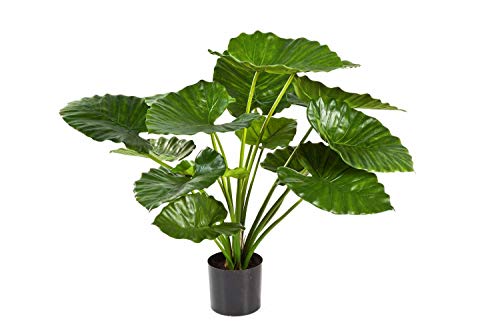 artplants.de Set 'Colocasia Artificial + Spray de protección UV' - Alocasia Decorativa SALONI, Verde, 75cm