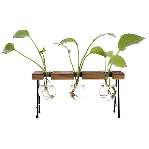 Belupai - Jarrón de Cristal con Forma de Tubo para Flores, contenedor hidropónico, decoración del hogar con Estante de Madera, Vidrio Madera Metal Cristal de borosilicato, Jarrón de 3 Vasos