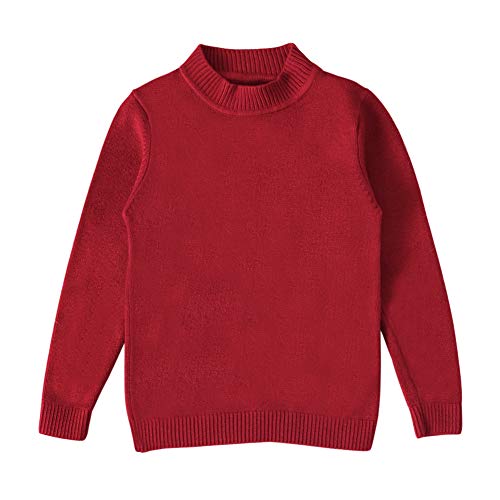 Dilicwa Unisex bebé Tejida suéter Sudadera Jumper niños niñas o-Cuello Escuela Top clásico suéter camisetablus Blusa (Rojo Vino, 2-3 Y)