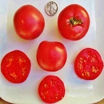 Eva Purple Ball - Organic Heirloom Tomato Seeds - Awesome Slicer - 40 Seed